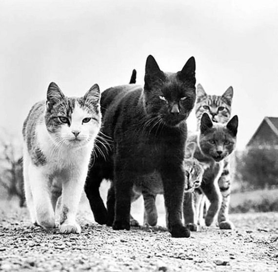 ����� �� �������� � ������