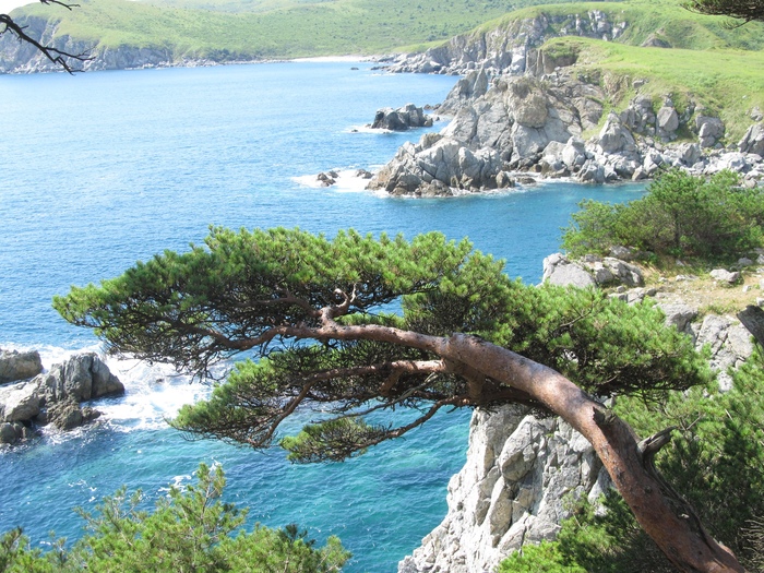 В Приморье могут появиться быстровозводимые отели