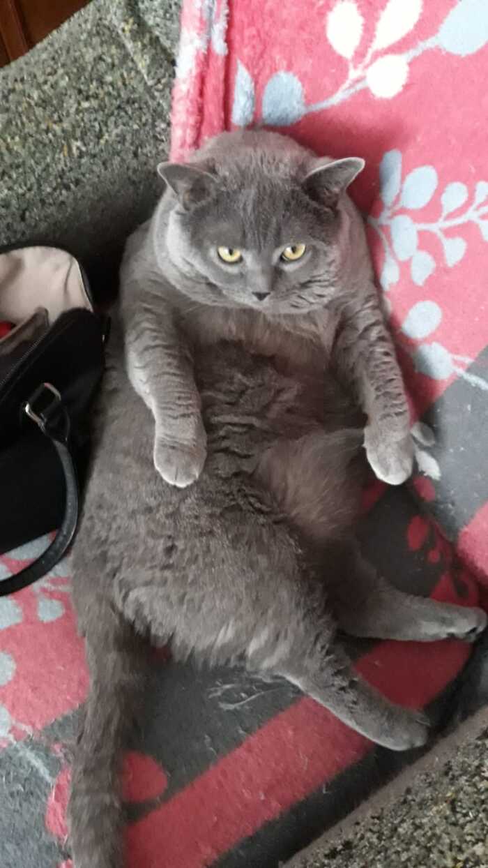 ��� ��� ���� ���� (������ ��� ��� ����) ������ ��� ���� ���)))