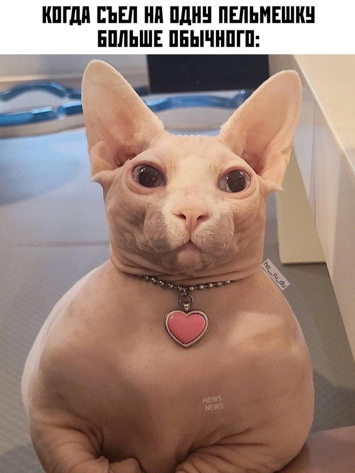 ��������� ;)