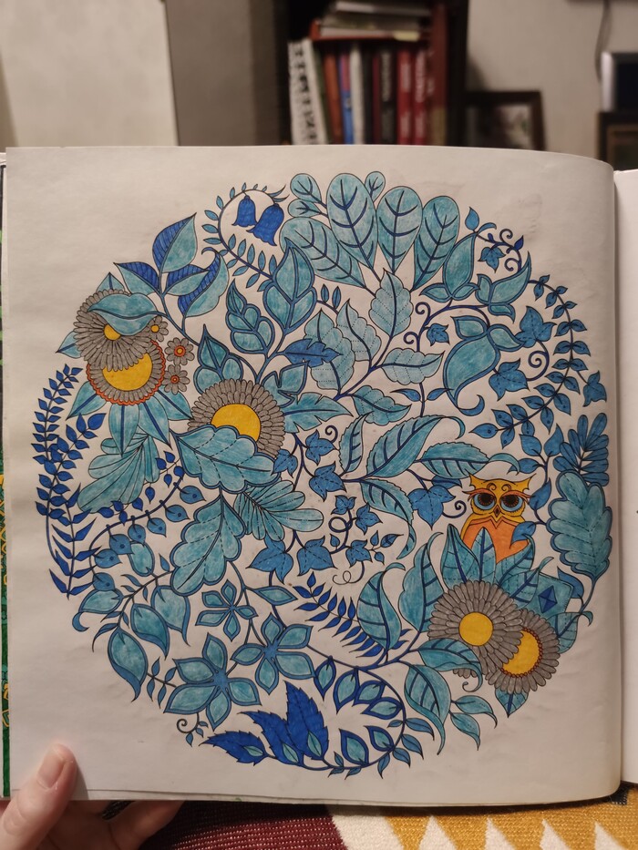 Раскраска Зачарованный лес Хобби, Раскраска-антистресс, Раскраска, Хвастовство, Цветные карандаши, Зачарованный лес, Длиннопост, Рукоделие без процесса