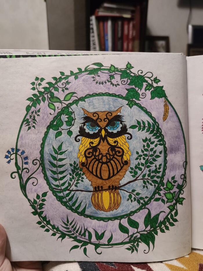 Раскраска Зачарованный лес Хобби, Раскраска-антистресс, Раскраска, Хвастовство, Цветные карандаши, Зачарованный лес, Длиннопост, Рукоделие без процесса