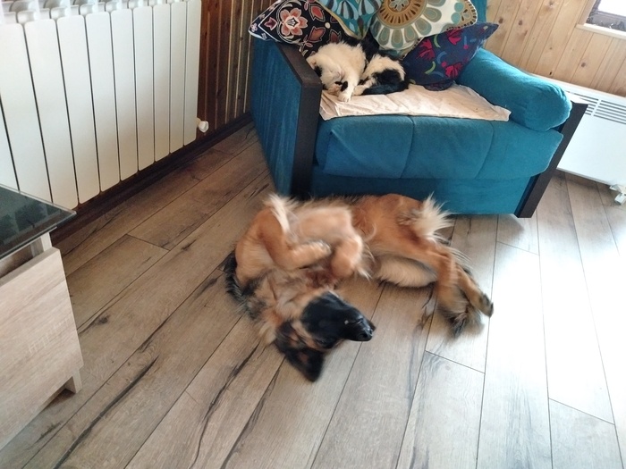 �� ����� ��� ������������