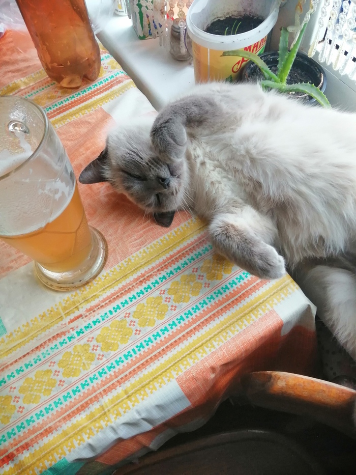 ���� ��������