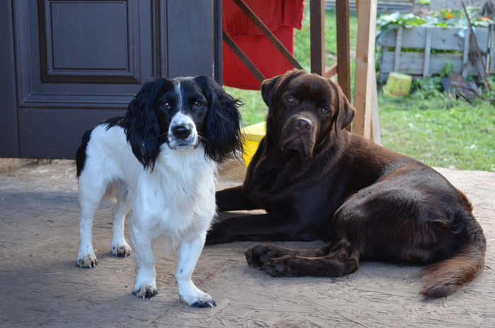 �� ��� �� � ����� �����...