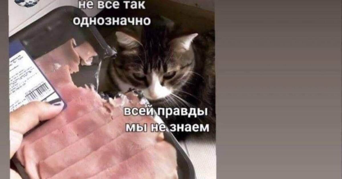 Правда ли дают