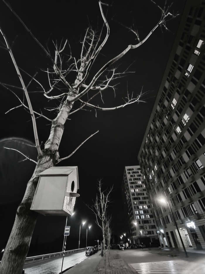 Скворечник, улица, фонарь...