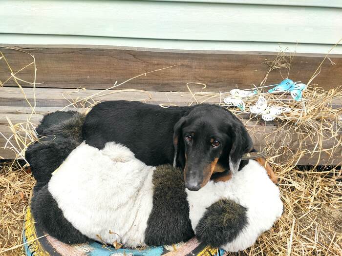   .  , 14 .   .  ,   !