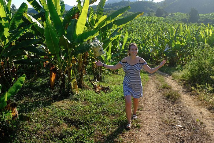 Кто там хотел бананчиков?