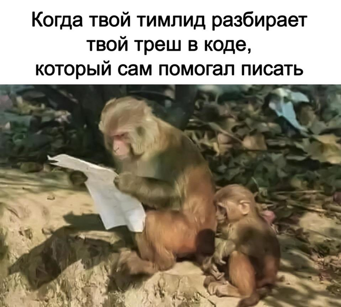 , ,  IT ,   , , , , , 