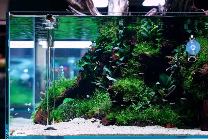  by Green Aqua , ,  ,  , , 