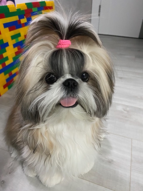     -,  , 