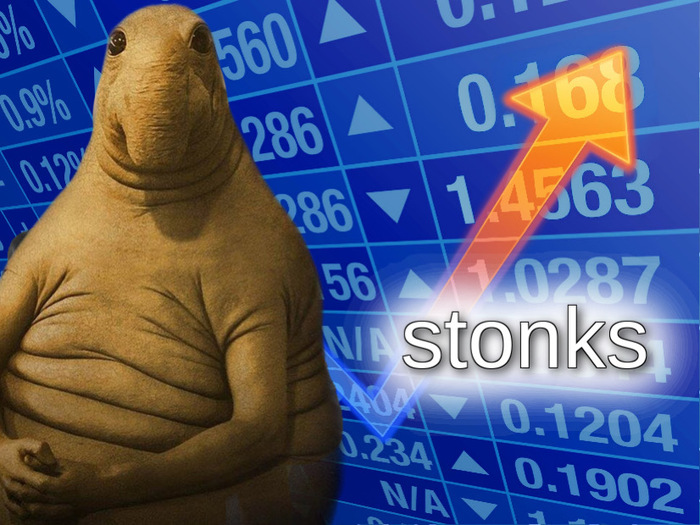   ,  , 