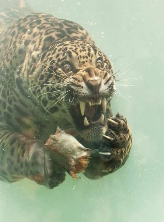 Когда видишь зарплатную ведомость