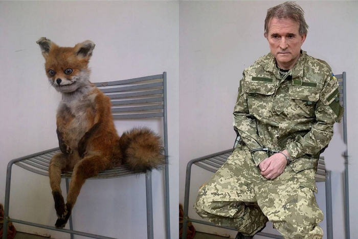 ��������� � ���