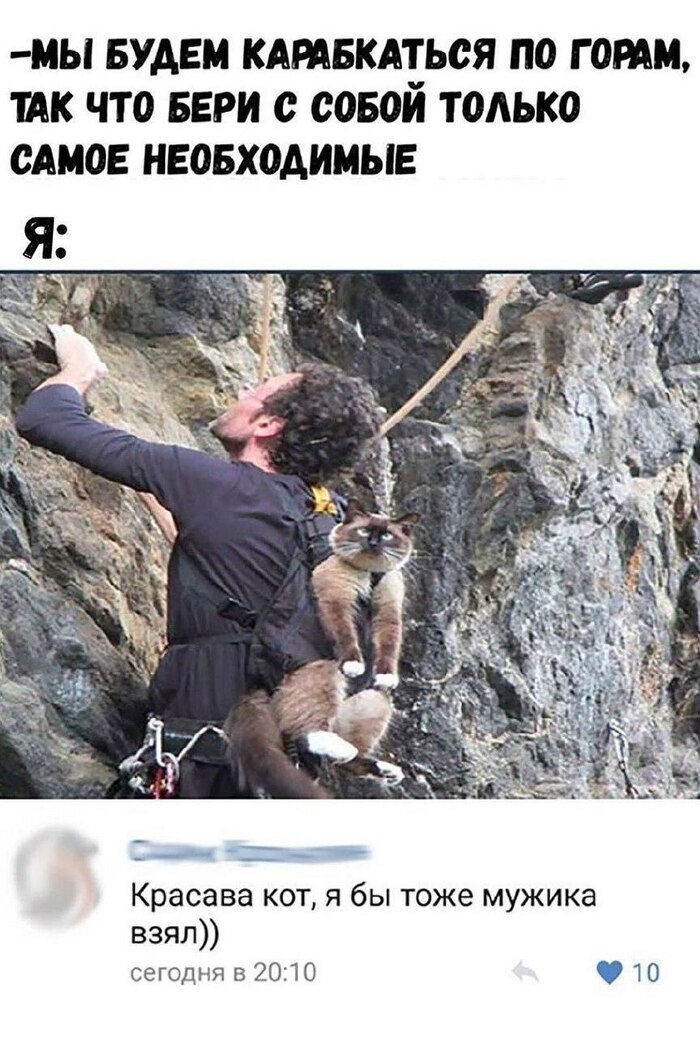 ���-���������