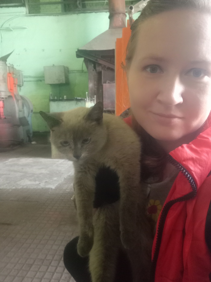 Инженер по маленькости