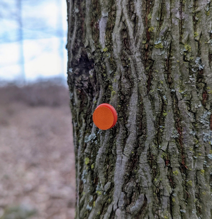 Что это за штука - 148 Перевел сам, Reddit, WhatIsThisThing, Видео, YouTube, Длиннопост Что это за штука - 148 Перевел сам, Reddit, WhatIsThisThing, Видео, YouTube, Длиннопост