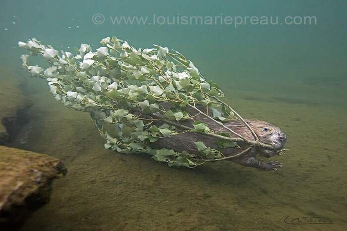 ������ ���� ��� ����� ���� �������� �����: ������� ���������