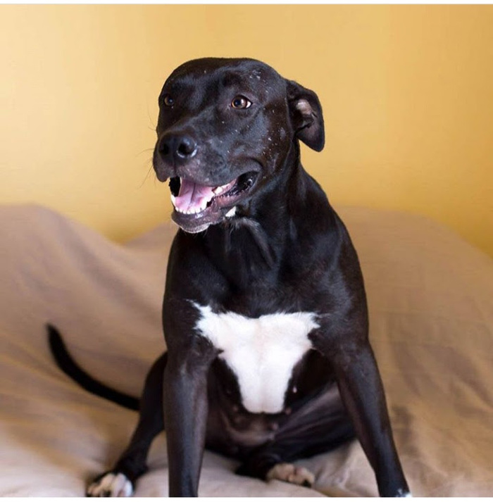 ������� ���� �����������