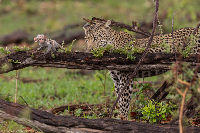 Очень грустный сюжет