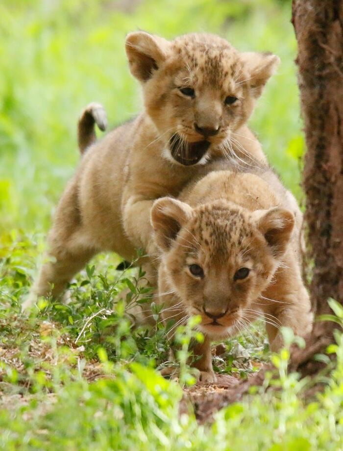 �� ����� ����!