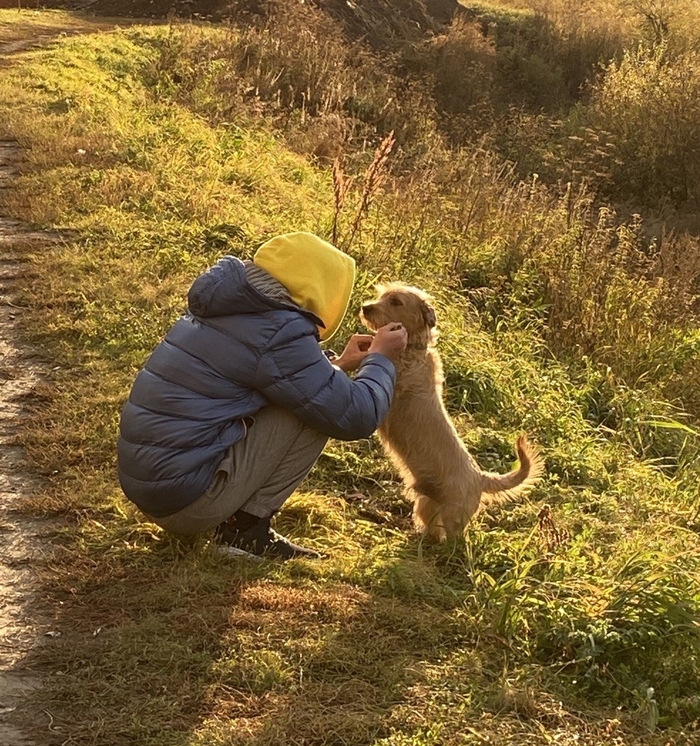 �� �������� ���, �� ����������