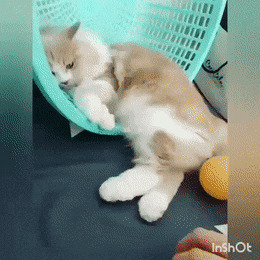   !