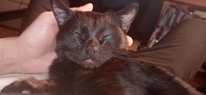 ������ ����� ���� ��� ��� ���������