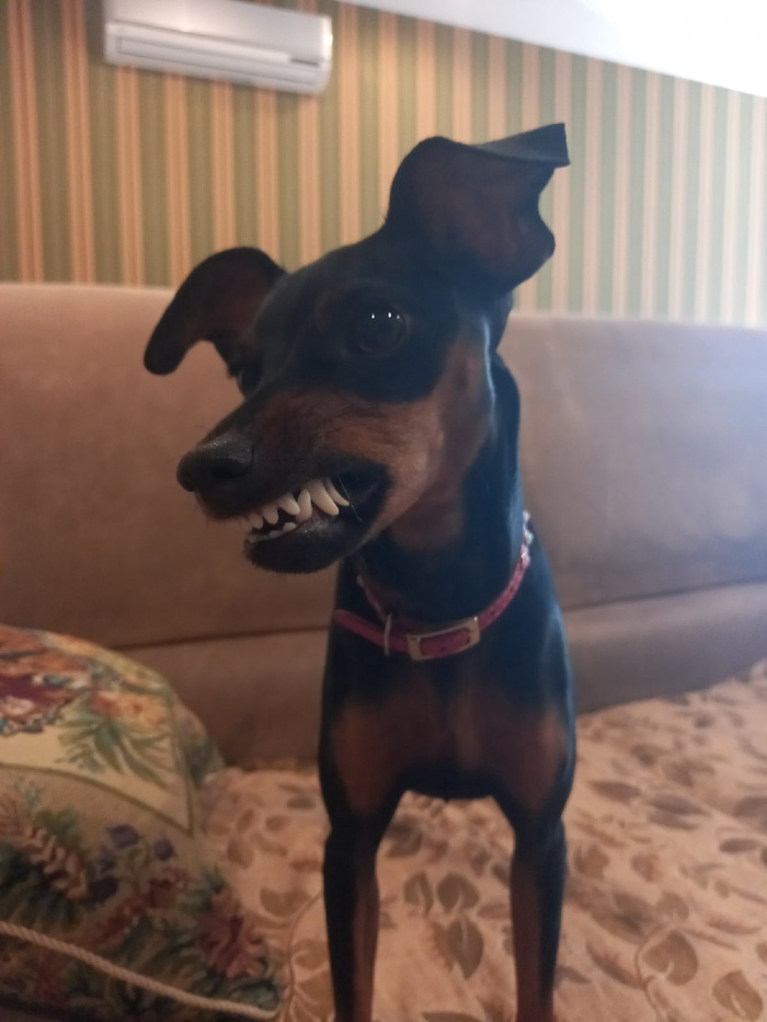 �����������. �� �������� ����