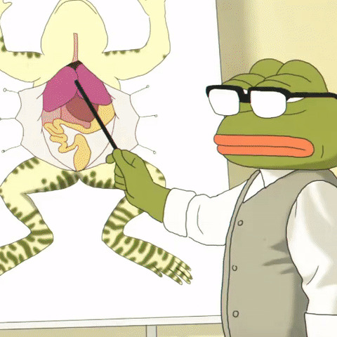 Pepe  