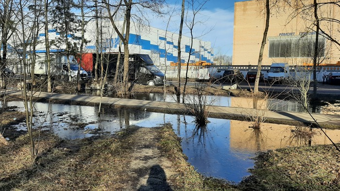 Весенний мостик