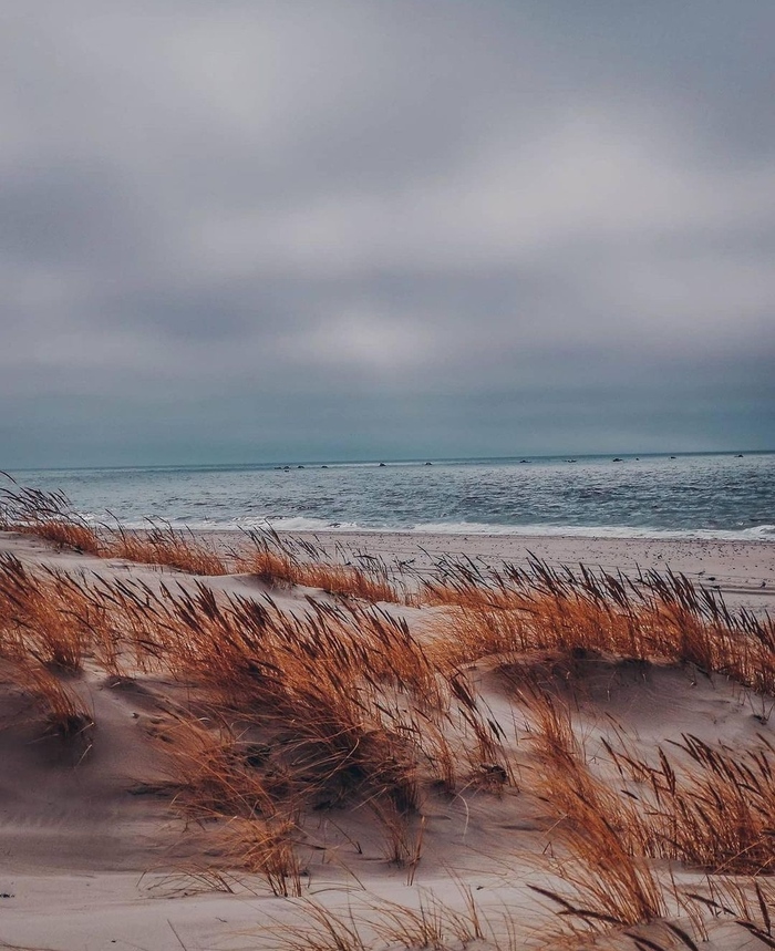 �� ������ ����������� ����