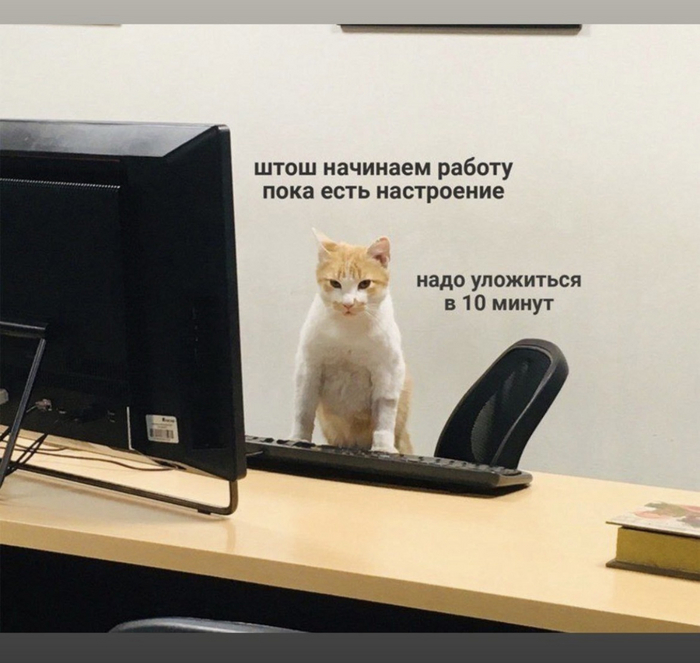 ������ �����