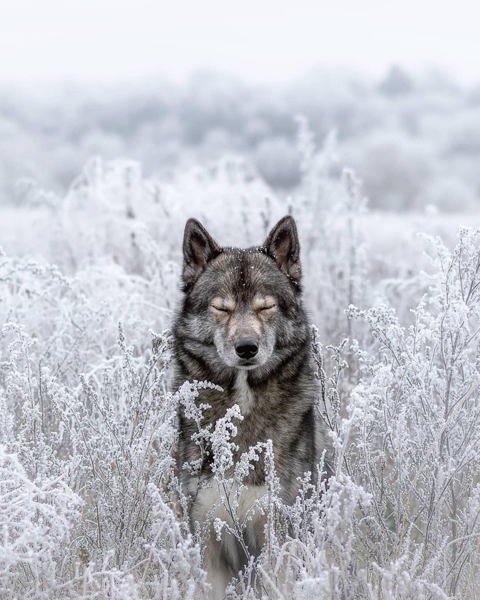 ���� ������...