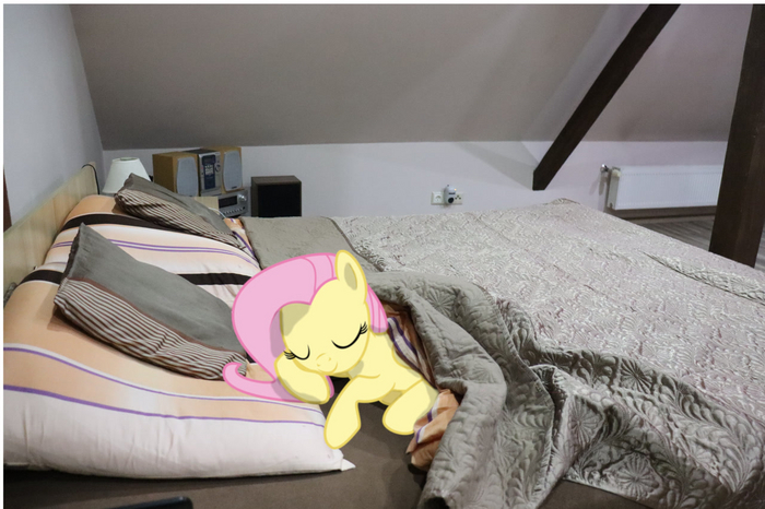 Спит My Little Pony, Fluttershy