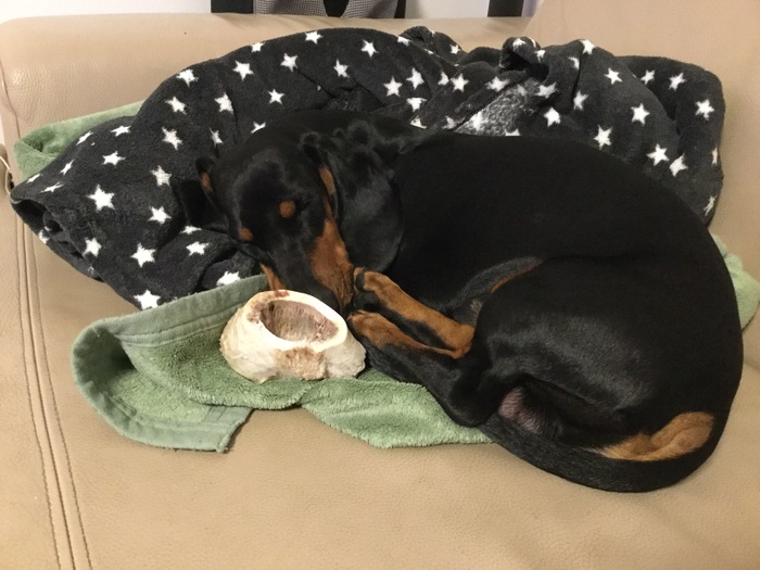 ��������� ���