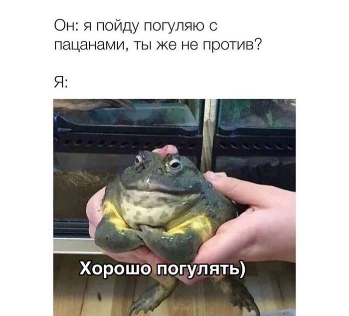     , , , 