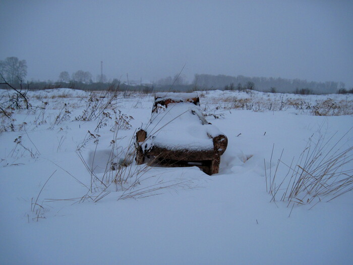 Чей то трон на зимнем болоте Фотография, Зима, Кресло, Снег, Болото
