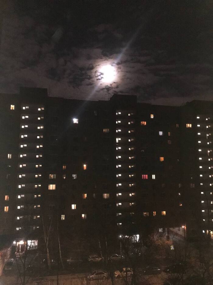 Полнолуние, братцы!