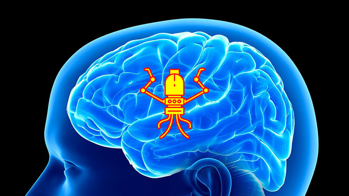 Микророботов отправят в мозг человека уже через два года Мозг, Наука, Исследования, Ученые, Нейробиология, Робот, Яндекс Дзен, Длиннопост
