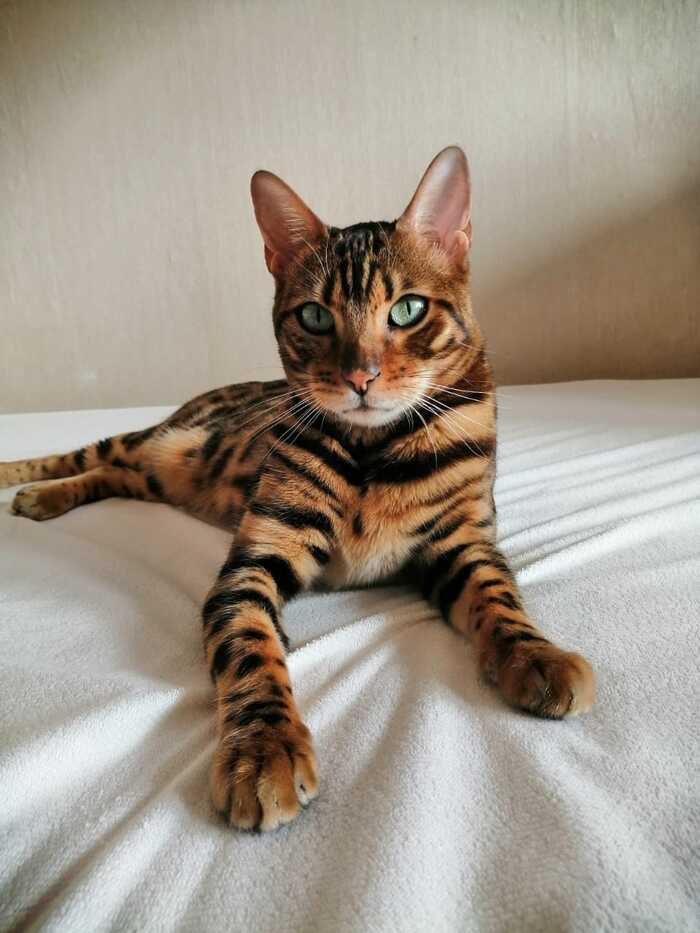 ����� ������ � ���������������