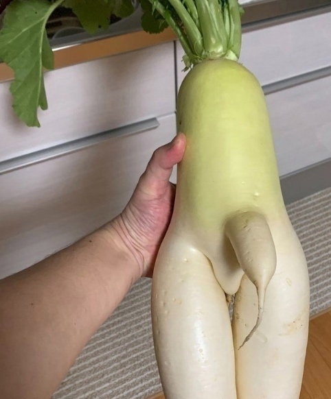 Порно с овощами (73 фото)