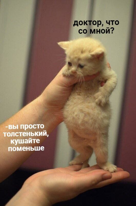 .. мягонький