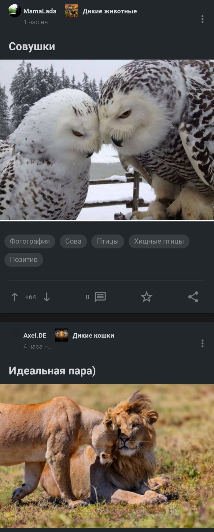    , ,  ,  , , , ,   