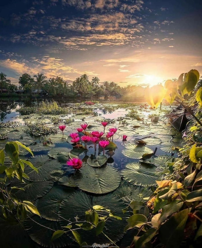 ����� �����