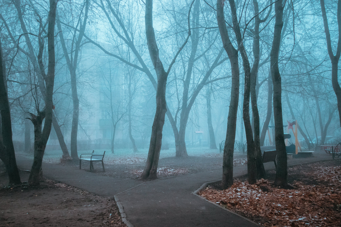 Туманный дворик Canon, Фотография, Осень, Туман, Двор, Балашиха