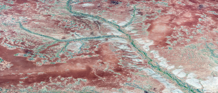 Лучшие научные снимки марта. Дождь в пустыни