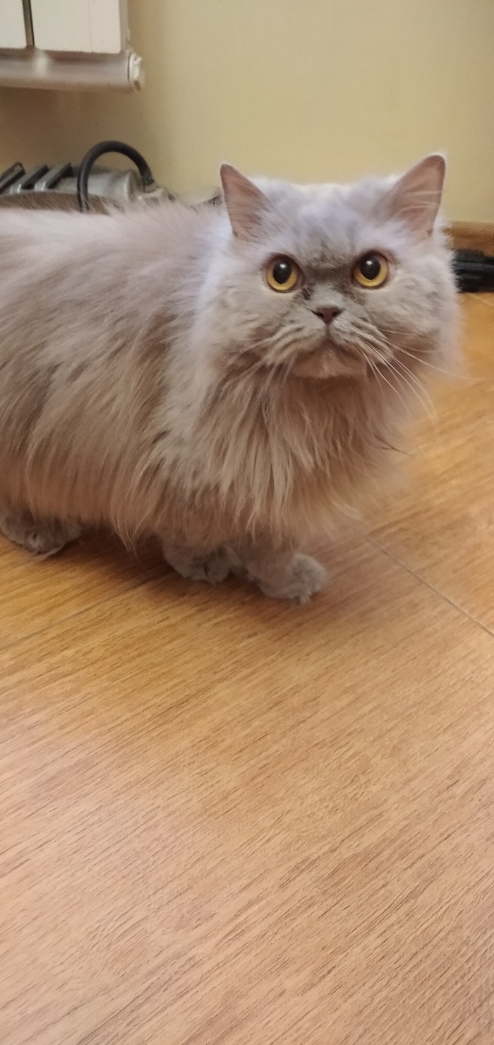 ���������� ����� �������� ��� �������� ����� �������� ��������