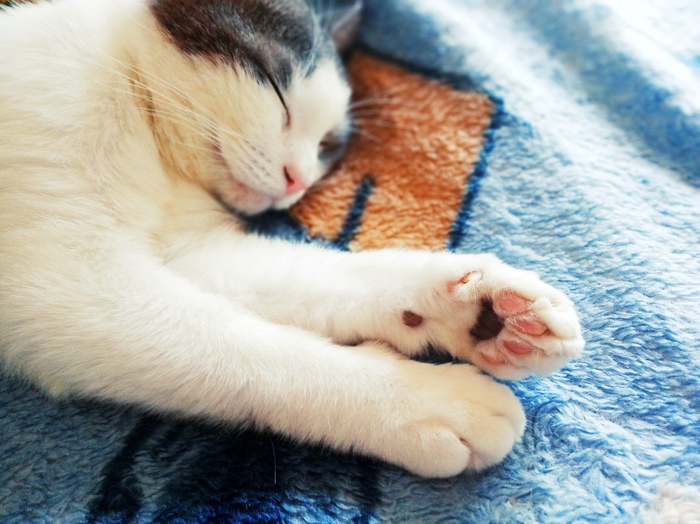 Воспитанник